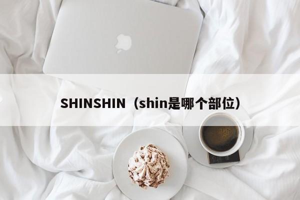 SHINSHIN（shin是哪个部位）
