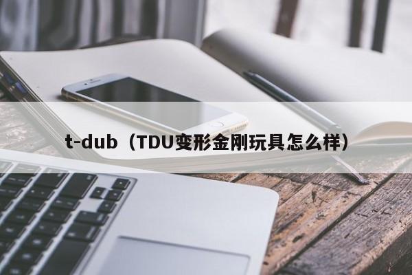 t-dub（TDU变形金刚玩具怎么样）